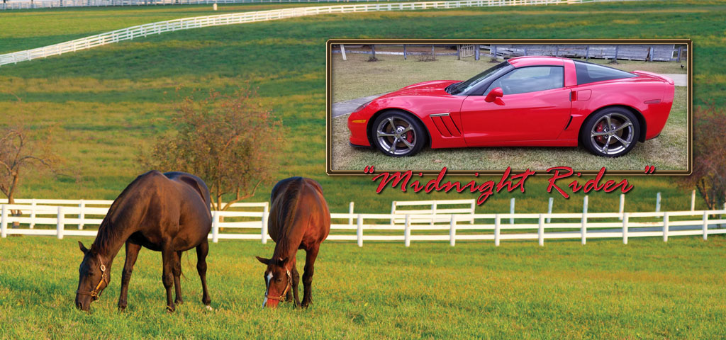 Horse (Corvette) PROOF